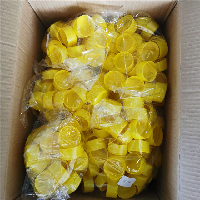 መጨረሻ ካፕ ሾው 09