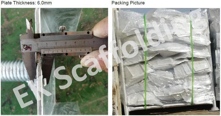 ቤዝ ፕሌት ሾው 04