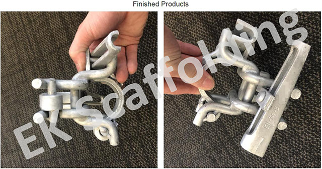 የሆላንድ ድርብ ኩርባዎች 04 አሳይ