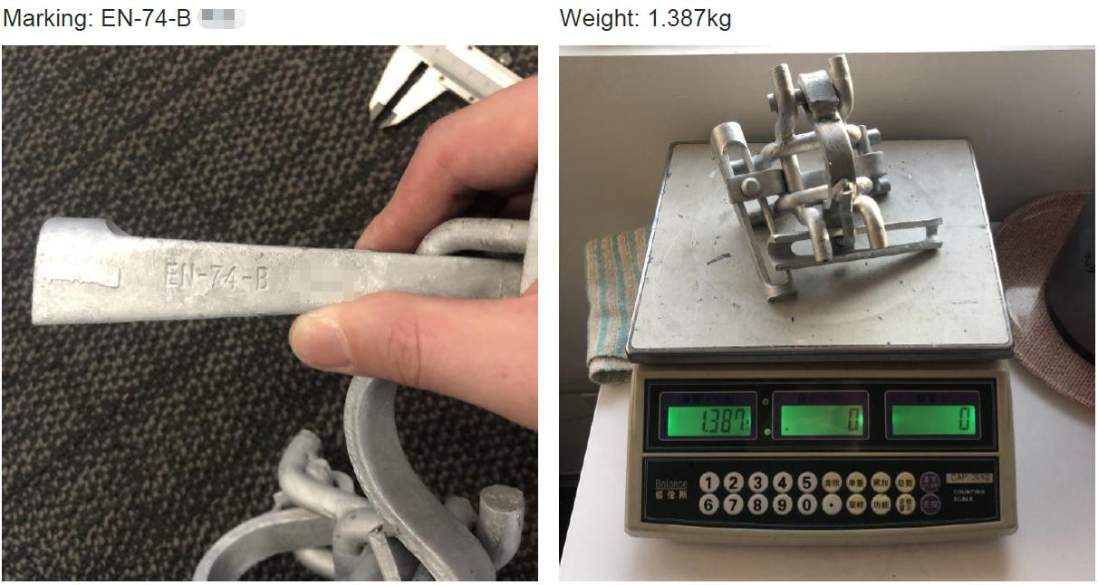 የሆላንድ ድርብ ኩርባዎች 01 