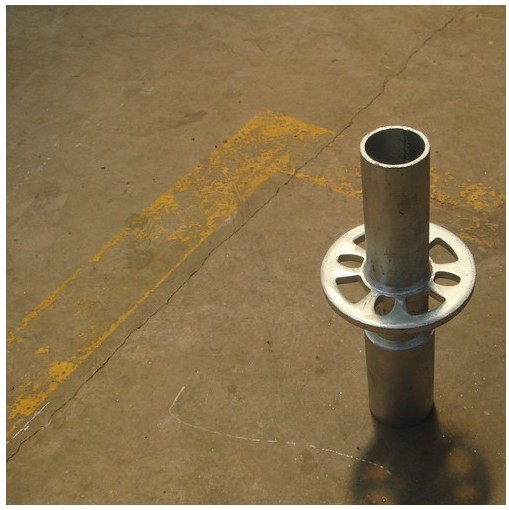 የደወል ክትትካ