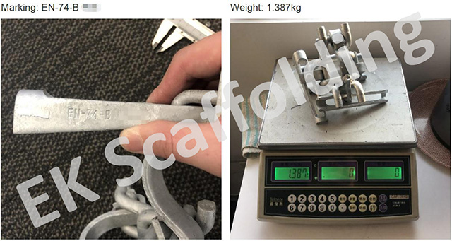 የሆላንድ ድርብ ኩርባዎች 01 አሳይ