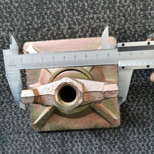 ክንፍ ኑት 1-04