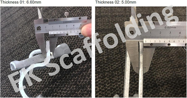 የሆላንድ ድርብ ኩርባዎች 02 ያሳያሉ