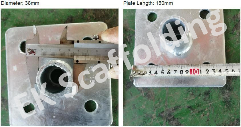 ቤዝ ፕሌት ሾው 03