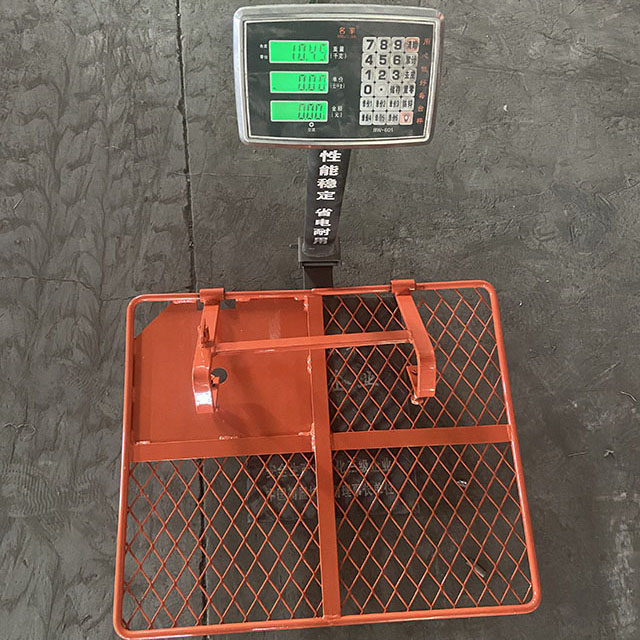 ስካፎልዲንግ ወጥመድ በር