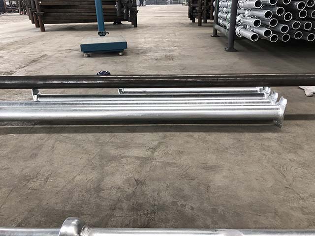 ኩባያ መርዝ 09