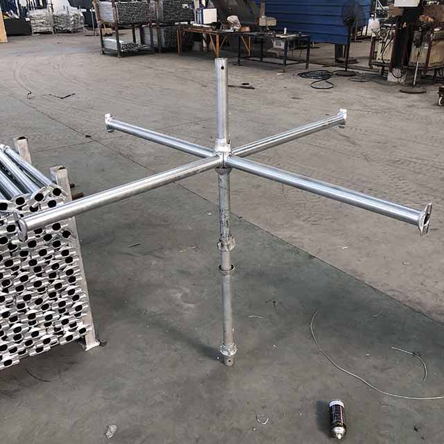 ኩባያ መምረጫ 08