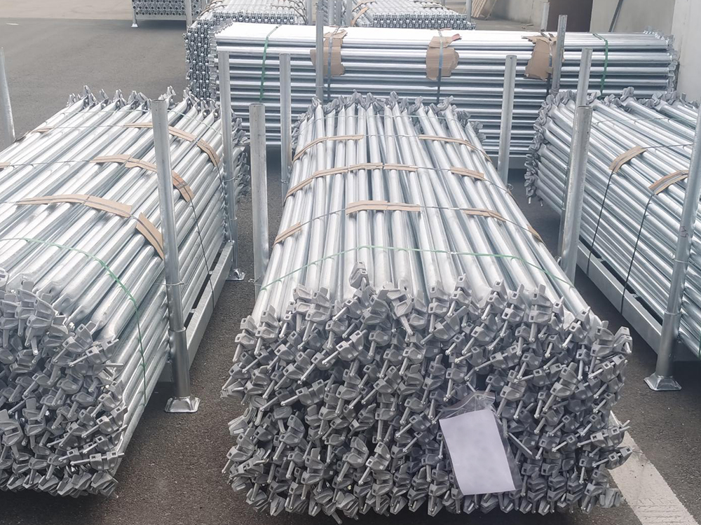 ደወል ደመወዝ ሰዶማዊነት ሰድል