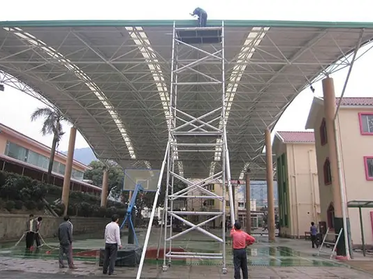 ስካንፊንግስ ስርዓቶች