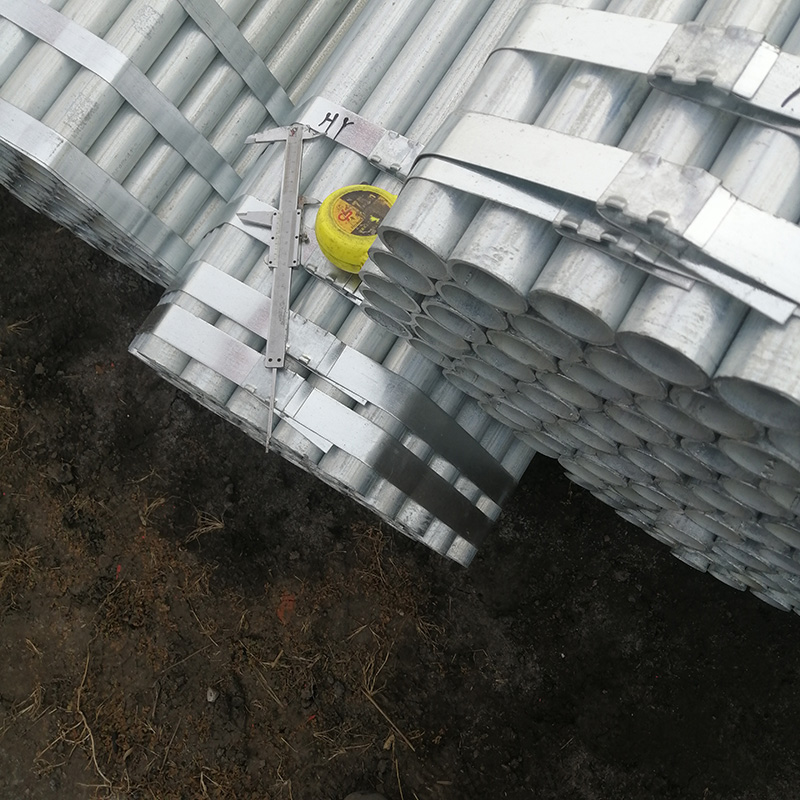 ፓይፖልድ ፓይፖልድ 