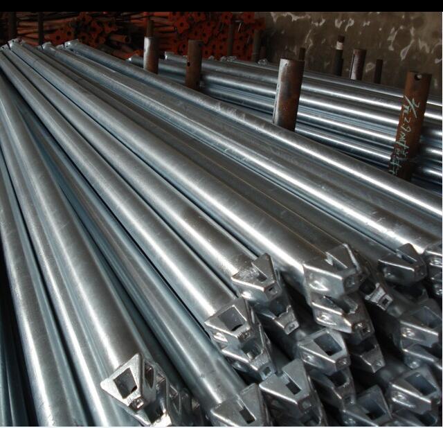 የደወል መርዝ ተመራማሪ 6