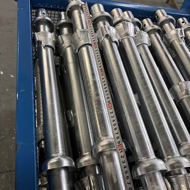 ኩባያ አቀባዊ 08