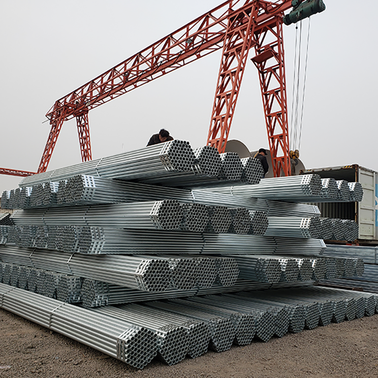 የሳንባ ምቻዎች