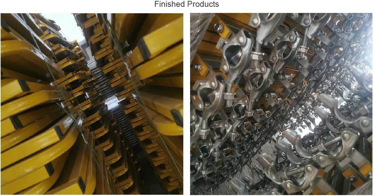 ስካራፊድል በሮች ምርመራ 04 