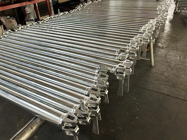 የደወል መርዝ መምራት