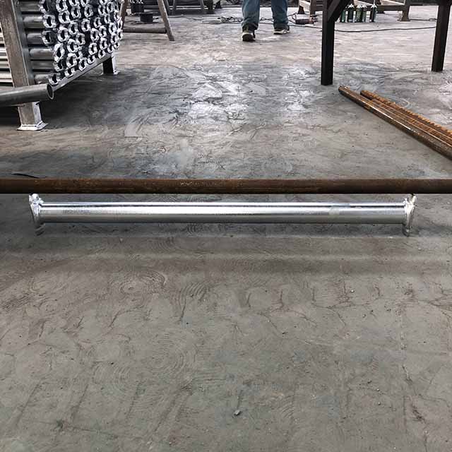 ኩባያ መርዝ 11