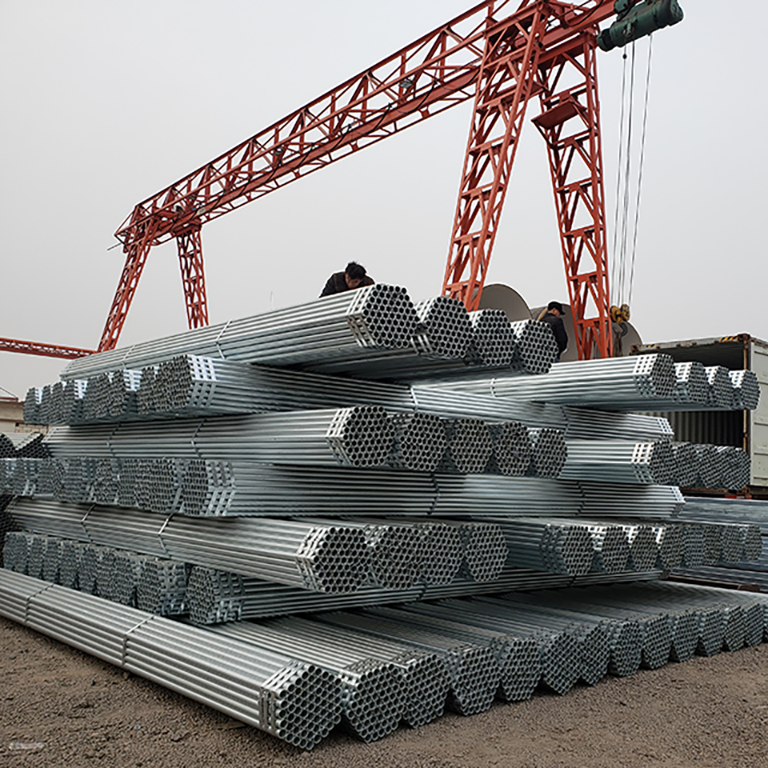 የሳንባ ምቻዎች