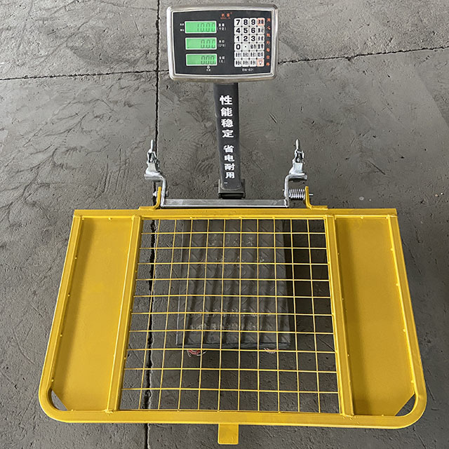 መሰላል መዳረሻ በር ሙከራ 